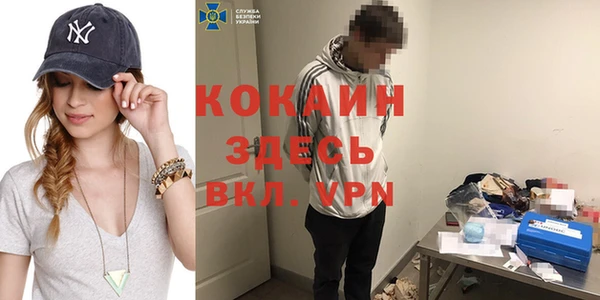 гидра Алексеевка
