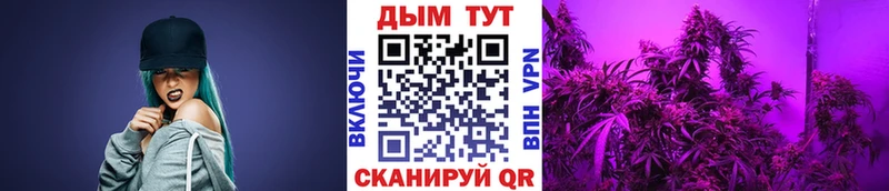 Бошки марихуана семена Лосино-Петровский